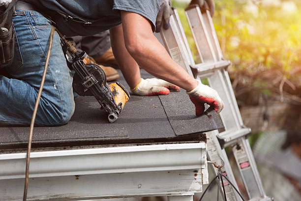 Best Metal Roofing Contractor  in Willow, AK