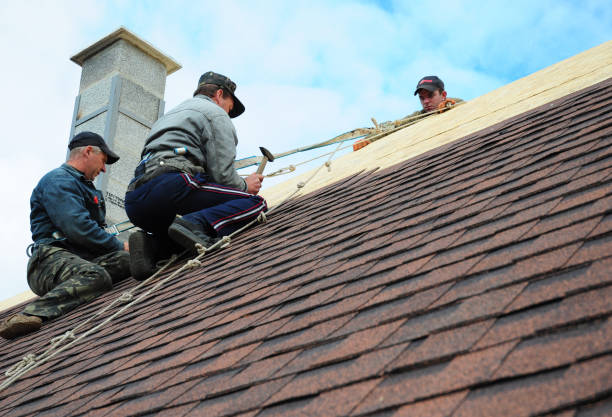 Quick and Trustworthy Emergency Roof Repair Services in Willow, AK
