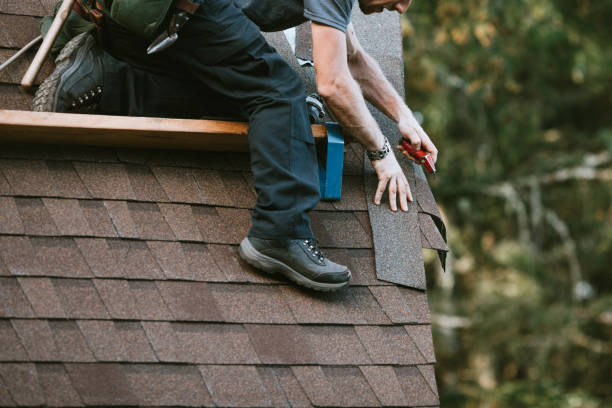 Best Roof Restoration Services  in Willow, AK